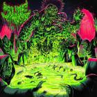 Slime Dimension - Slime Dimension