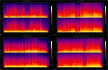 Potatoi - Orange Courage