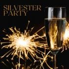 VA - Silvester Party