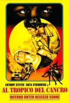 Inferno unter heißer Sonne