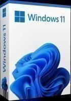 Microsoft Windows 11 Pro 21H2 22000.2001 (x64)