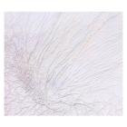 Dane Law-Bonded Pairs- QD53 -24BIT-WEB-FLAC-2026-BABAS