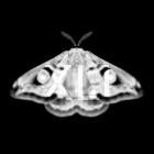 Martyn Hare-Emetic XLI- EMETIC041 -24BIT-WEB-FLAC-2025-BABAS