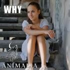 Animalia - Why