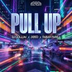 DJ Gollum x JXRED x Fabian Farell - Pull Up