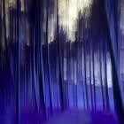 Various Artists - Pneuma Oniris