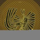 ASC - Antiquated Thoughts EP
