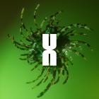 DJ Swisherman - Roots EP