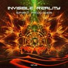 Invisible Reality - Spirit Provider