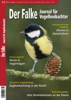 Der Falke - Journal fuer Vogelbeobachter 11/2023