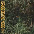 Not Even Noticed-Space Beyond Noise- TARTALB029D -24BIT-WEB-FLAC-2026-BABAS