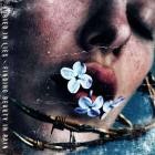 Buried in Lies - Finding Beauty in Pain