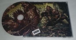 Fresh Wounds-The Origins of Mutilation- FTOL020-BM197 -CD-FLAC-2025-86D