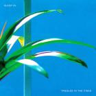 Sleep In -Tangled in the Vines-24BIT-48KHZ-WEB-FLAC-2026-FLACCiD