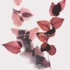 Javier-Ilusion- APNEA80 -16BIT-WEB-FLAC-2021-AGITB