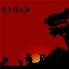 Bvdub - Strength In Solitude