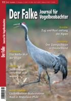 Der Falke - Journal fuer Vogelbeobachter 11/2025