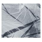 Scanner-Forces Reactions Deflections- QD40 -24BIT-WEB-FLAC-2025-BABAS