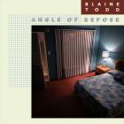 Blaine Todd - Angle of Repose