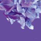 VA - Pop Ambient 2025