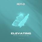 VA - Elevating Melodies 025