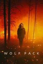 Wolf Pack - Staffel 1