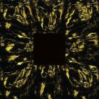 Hoavi - Architectonis