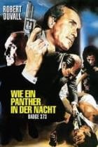 Wie ein Panther in der Nacht