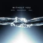Gryffin - Without You (Feat  Sasha Alex Sloan)