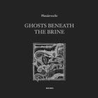 Wanderwelle-Ghosts Beneath The Brine- IMPREC542DI -16BIT-WEB-FLAC-2026-BABAS