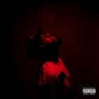 Bocha And GotDamnitDupri - RED GRAPES Volume 1