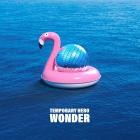 Temporary Hero - Wonder