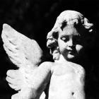 Cold Cave-Passion Depression- HRTWRM111 -24BIT-WEB-FLAC-2024-BABAS