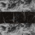 Forbidden-Alternative Existance- DOR004 -16BIT-WEB-FLAC-2024-BABAS