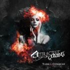 Attractive Chaos - Tame & Conquer