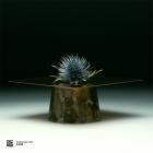 VA - Curation Two: D Dan