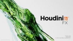 SideFX Houdini FX v19.5.435 (x64)