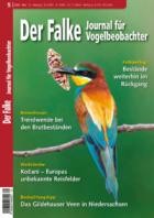 Der Falke - Journal fuer Vogelbeobachter 05/2025