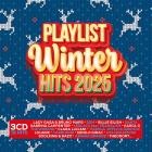 Playlist Winter Hits 2025