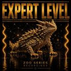 VA - Expert Level