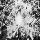 Age Of Panic - A Sense Of Loss