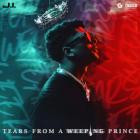 J I the Prince of N Y - Tears From A Weeping Prince