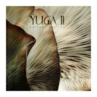 VA-Yuga II- LSYA006 -16BIT-WEB-FLAC-2024-BABAS