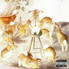 R8 - Dawn Chorus