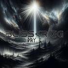 Blisskrieg - Day 3