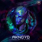 Aknoyd and Babagoon-Crazy But Its True- WDGD020 -16BIT-WEB-FLAC-2019-BABAS