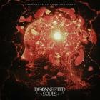 Disconnected Souls - Fragments of Consciousness