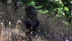Die.Bestien.im.Auge.-.Die.Tierwelt.Afrikas.wie.Sie.sie.noch.nie.gesehen.haben.E01.GERMAN.DL.DOKU.2013.BDRiP.x264-PtBM