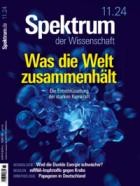 Spektrum Der Wissenschaft 11/2024