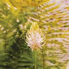 Tim Six-Alpine Valley- DR105 -24BIT-WEB-FLAC-2025-BABAS